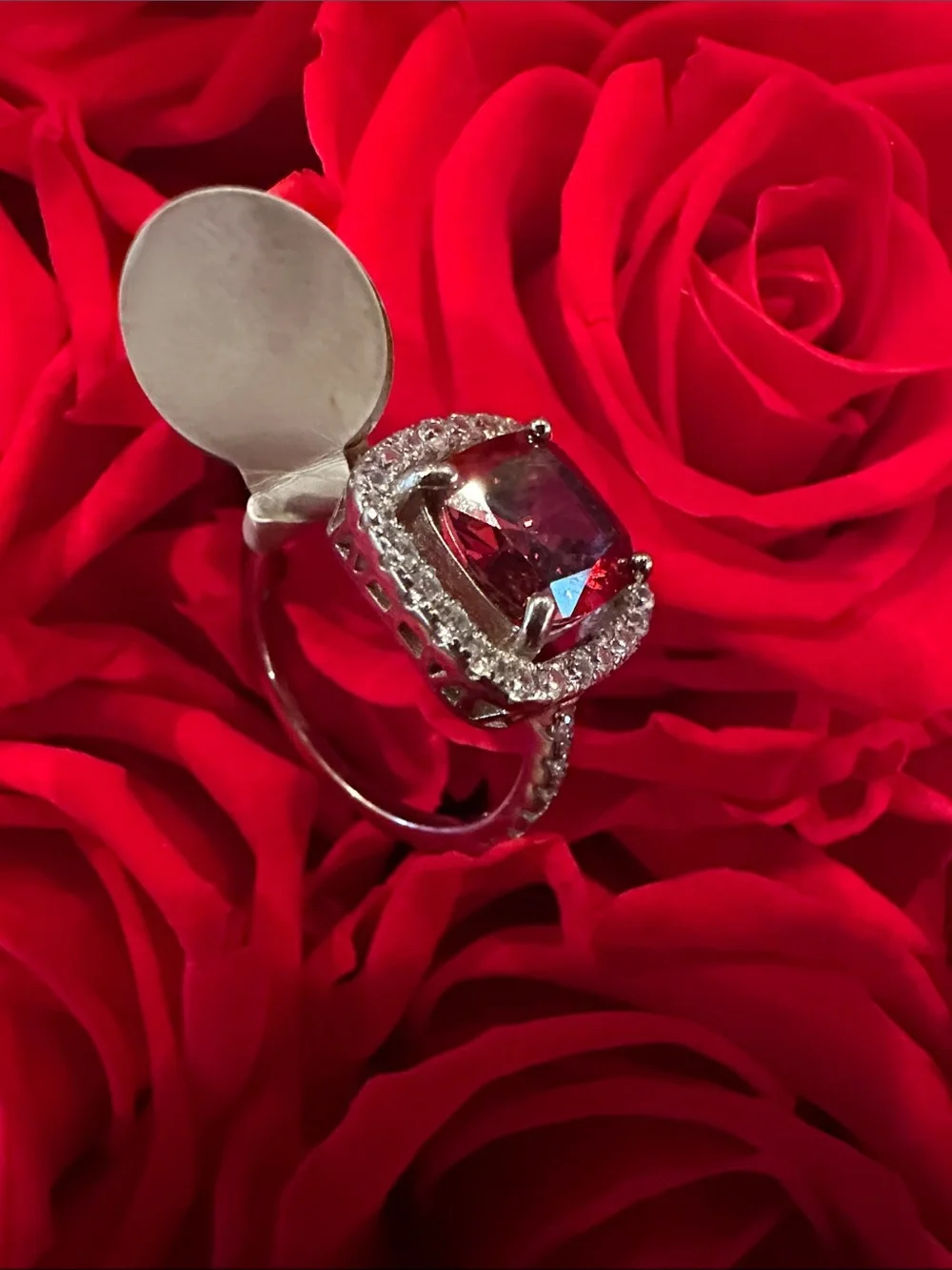 N/A elegant red